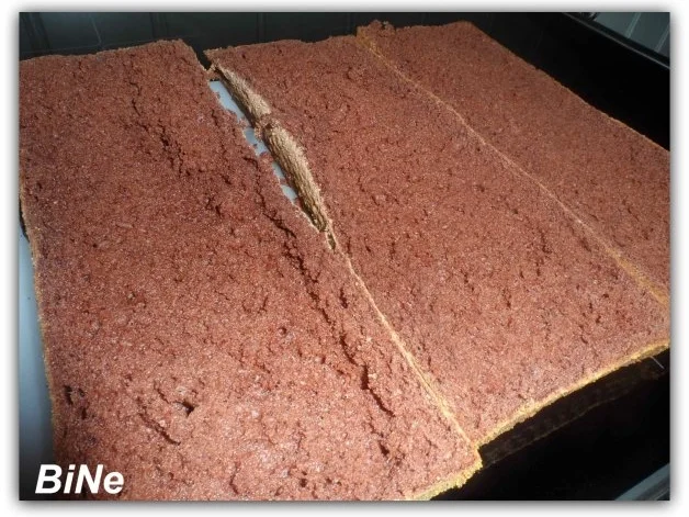 BiNe` S HIMBEERKUCHEN - Rezept - Bild Nr. 7