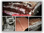 BiNe` S HIMBEERKUCHEN - Rezept