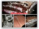 BiNe` S HIMBEERKUCHEN - Rezept