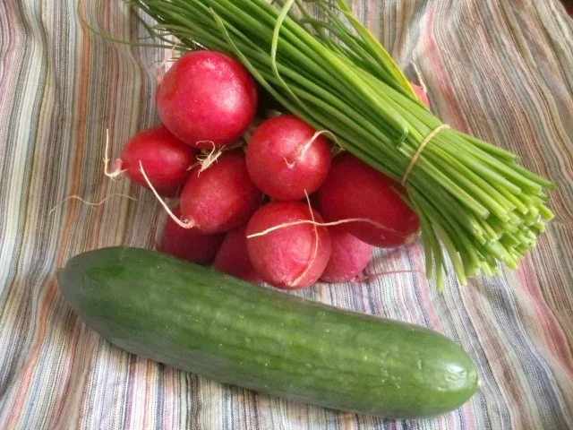 Radieschensalat mit Gurke - Rezept - Bild Nr. 2