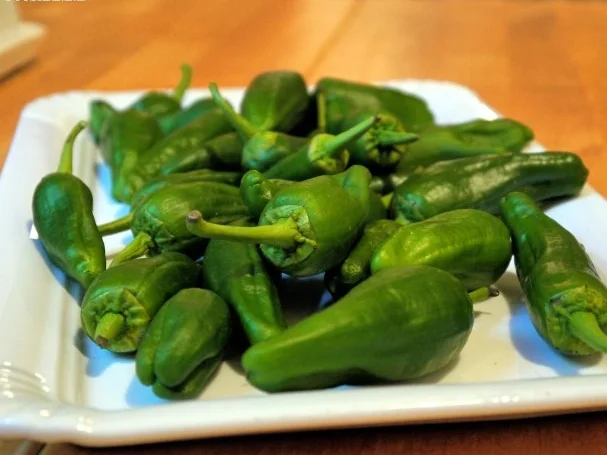 Geflügel-Glasnudel-Salat mit Pimentos de Padron - Rezept - Bild Nr. 13
