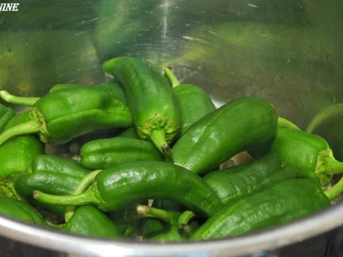 Geflügel-Glasnudel-Salat mit Pimentos de Padron - Rezept - Bild Nr. 15