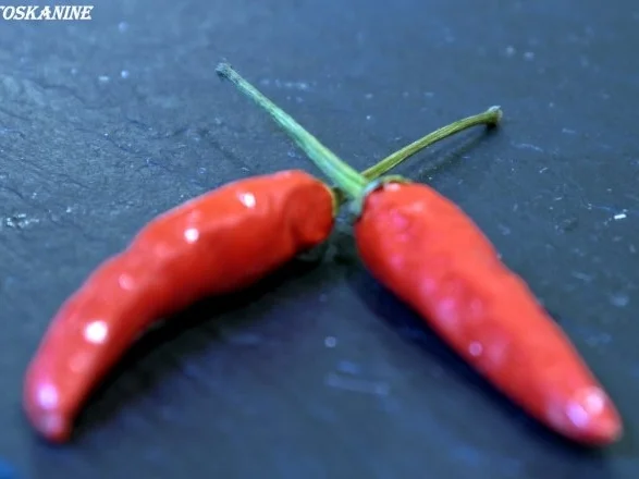 Geflügel-Glasnudel-Salat mit Pimentos de Padron - Rezept - Bild Nr. 9