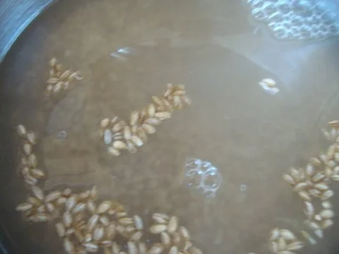 Deftiger Gänseeintopf nach "SuppenGeniesser" Art - Rezept - Bild Nr. 5