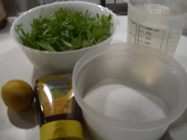 Waldmeister-Sirup - Rezept - Bild Nr. 6