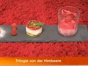 Rezept: Himbeerquark-Törtchen, Himbeersorbet, Windbeutel gefüllt mit Himbeersahne Himbeerquark-Törtchen, Himbeersorbet, Windbeutel gefüllt mit Himbeersahne - Rezept