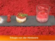 Himbeerquark-Törtchen, Himbeersorbet, Windbeutel gefüllt mit Himbeersahne - Rezept