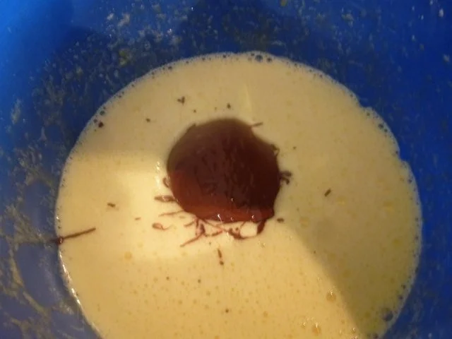 Feines Schokoladen-Eis - Rezept - Bild Nr. 7