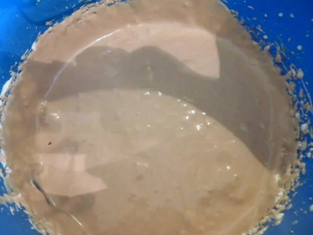 Feines Schokoladen-Eis - Rezept - Bild Nr. 10