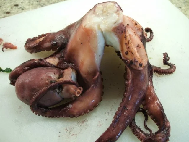 Fisch: Sepia in Tomatensoße - Rezept - Bild Nr. 5