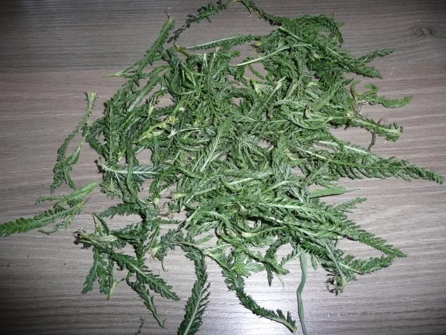 Vorrat : Wintertee - Mischung - Rezept - Bild Nr. 4