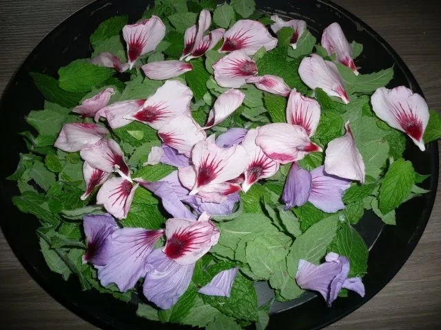 Vorrat : Wintertee - Mischung - Rezept - Bild Nr. 5