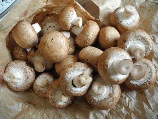 Rezept: Vegan : Gesunder Teller Bild Nr. 4 Vegan : Gesunder Teller - Rezept - Bild Nr. 4