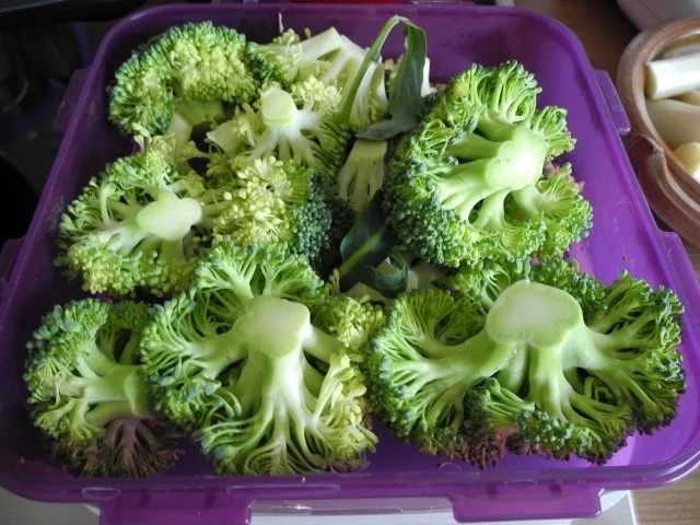 Rezept: Vegan : Gesunder Teller Bild Nr. 6 Vegan : Gesunder Teller - Rezept - Bild Nr. 6