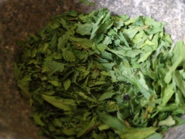 Rezept: Selleriesalz Bild Nr. 3 Selleriesalz - Rezept - Bild Nr. 3