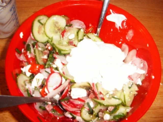 Rezept: Radieschen-Gurkensalat Bild Nr. 7 Radieschen-Gurkensalat - Rezept - Bild Nr. 7