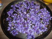 Vorrat :  Für Tee oder  Blüten - Butter - Rezept