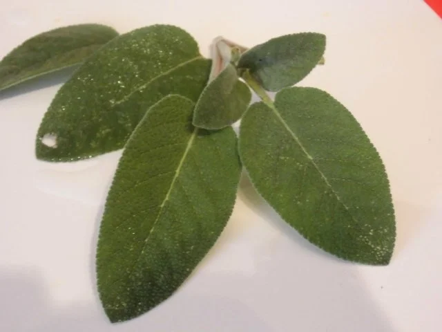 Zander mit Salbei dazu Fenchel/Paprika Gemüse und Polenta - Rezept - Bild Nr. 4