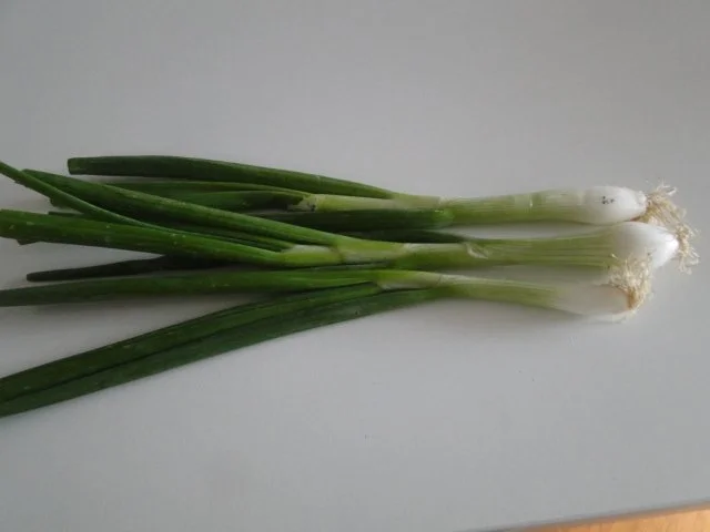 Spitzkohlrouladen mit Hack-Zwiebel-Masse mit Kapern in der Füllung mit Gewürzgurken - Rezept - Bild Nr. 10