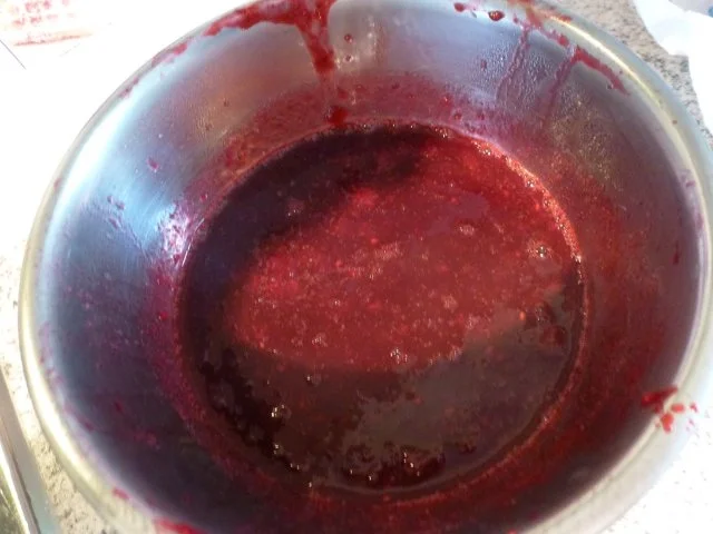 Waldbeerensaft/Apfelsaftsafteis - Rezept - Bild Nr. 6