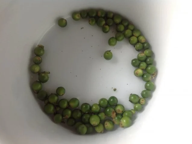 Grüner Spargelsalat - Rezept - Bild Nr. 3