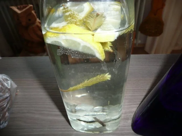 Tannen - Spitzen - Likör - Rezept - Bild Nr. 3