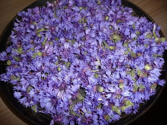 Blütenbutter - Rezept - Bild Nr. 2