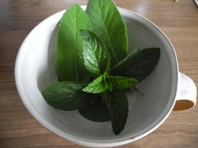 Heiße Getränke : Schokominze - Salbei -Tee - Rezept - Bild Nr. 2