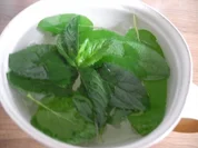 Heiße Getränke : Schokominze - Salbei -Tee - Rezept