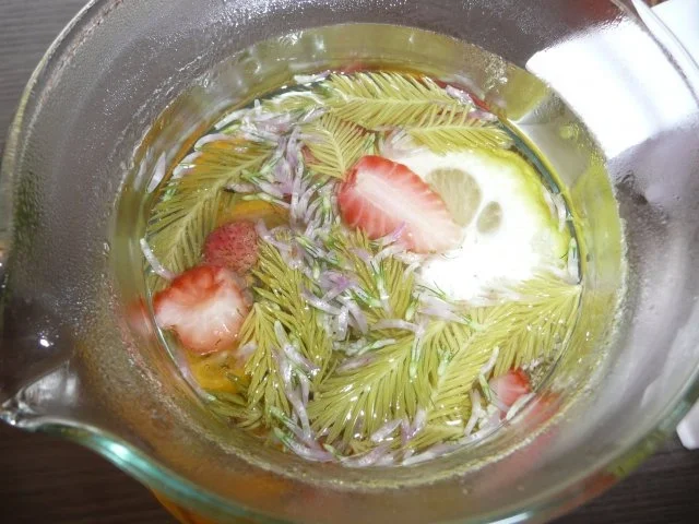 Waldtee 1 Liter - Rezept - Bild Nr. 2