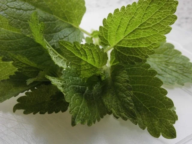 Hack - Couscous - Rolle - Rezept - Bild Nr. 8