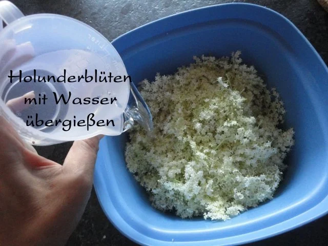 Rezept: Prosecco-Holunder-Gelee Bild Nr. 3 Prosecco-Holunder-Gelee - Rezept - Bild Nr. 3