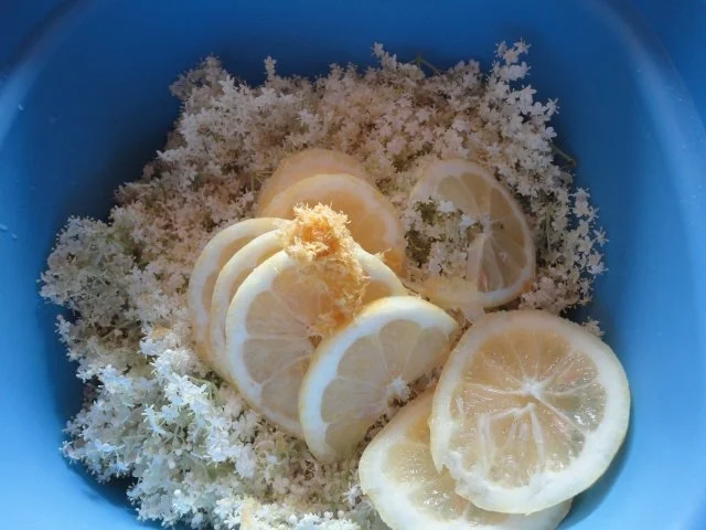 Rezept: Prosecco-Holunder-Gelee Bild Nr. 6 Prosecco-Holunder-Gelee - Rezept - Bild Nr. 6