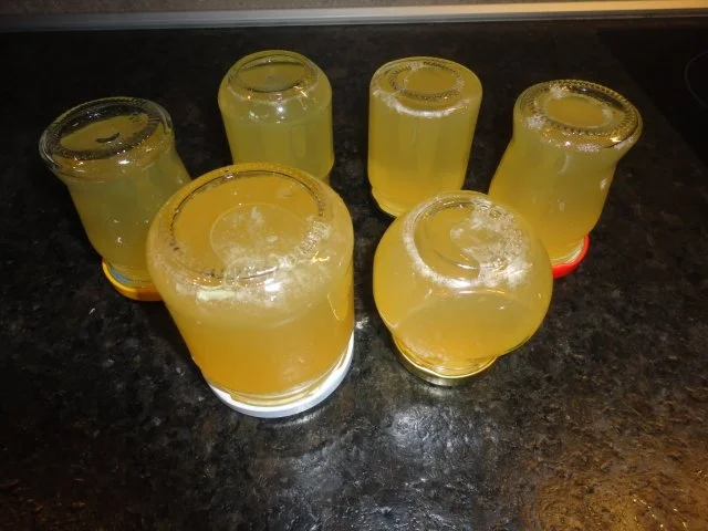 Rezept: Prosecco-Holunder-Gelee Bild Nr. 12 Prosecco-Holunder-Gelee - Rezept - Bild Nr. 12