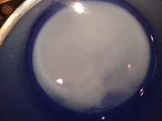 Minz Sorbet mit Zitronensaft - Rezept