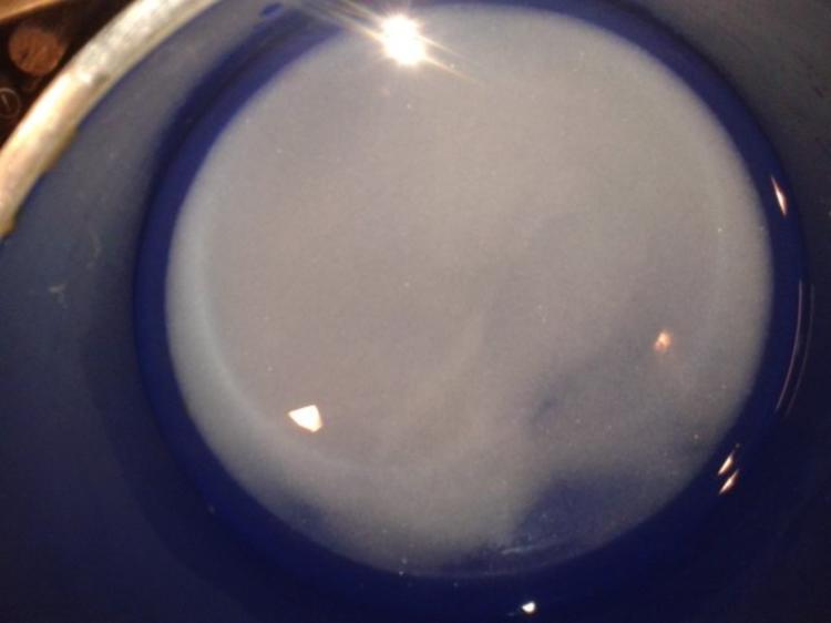 Minz Sorbet mit Zitronensaft - schnell &amp; einfach - 77 kcal/100g