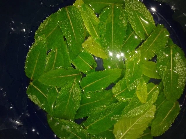 Minz Sorbet mit Zitronensaft - Rezept - Bild Nr. 2