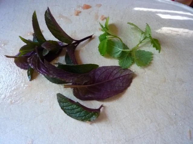 Dessert:  Beerenjoghurt - Rezept - Bild Nr. 3