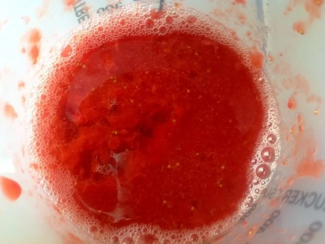 Rezept: Yoghurt mit Erdbeersoße Bild Nr. 5 Yoghurt mit Erdbeersoße - Rezept - Bild Nr. 5