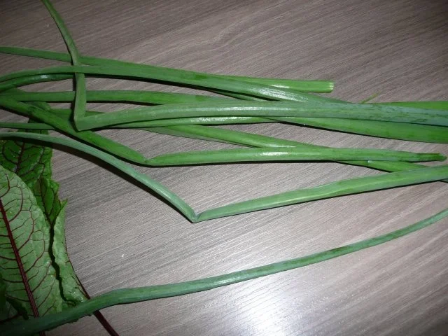 Salat im Juni ! - Rezept - Bild Nr. 3