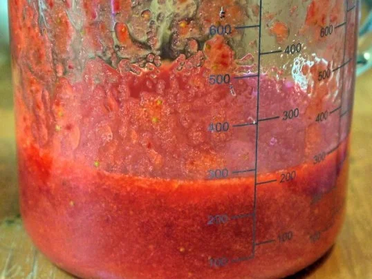 Rezept: Erdbeer-Eierlikör-Dessert Bild Nr. 5 Erdbeer-Eierlikör-Dessert - Rezept - Bild Nr. 5