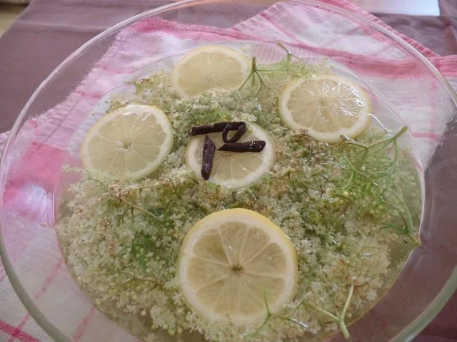 Rezept: Holunderblüten-Sirup Bild Nr. 3 Holunderblüten-Sirup - Rezept - Bild Nr. 3