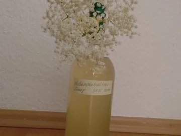 Rezept: Holunderblüten-Sirup Bild Nr. 4 Holunderblüten-Sirup - Rezept - Bild Nr. 4