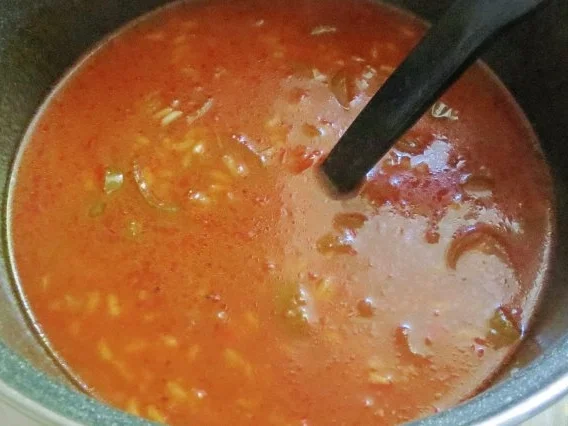 Kochen: Chilli-Reis-Suppe - Rezept - Bild Nr. 5