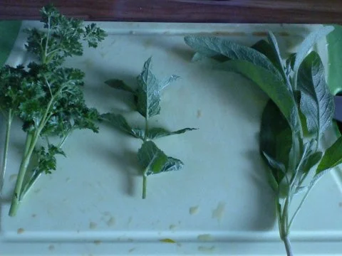 Paprika-Hähnchengeschnetzeltes ala Michi - Rezept - Bild Nr. 6