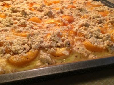 Rezept: Marillentopfen-Kuchen mit Streuseln Marillentopfen-Kuchen mit Streuseln - Rezept