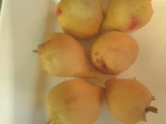 Erdbeeren ... - Rezept - Bild Nr. 12