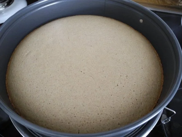 Vegan : Erdbeer - Pudding - Kuchen - Rezept - Bild Nr. 13