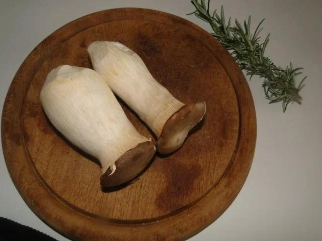 Putensteak mit Kräuterseitlingen mit Paprikagemüse und gratinierten - Rezept - Bild Nr. 3