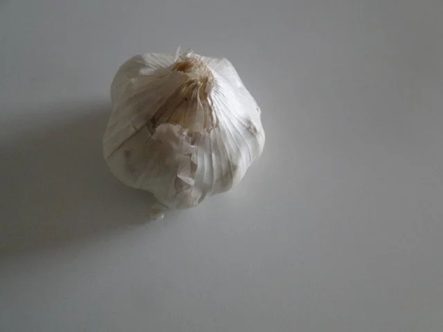 Putensteak mit Kräuterseitlingen mit Paprikagemüse und gratinierten - Rezept - Bild Nr. 7